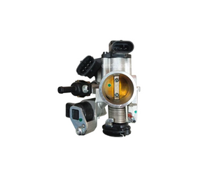 Body Throttle Assembly