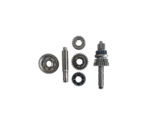 Gear Pinion Set